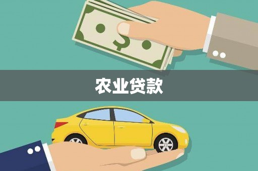 平安农业贷款