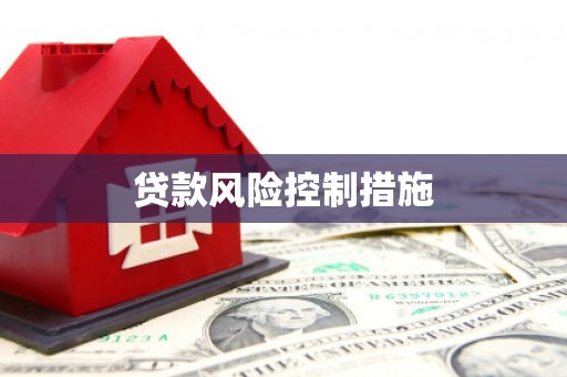 平安贷款风险控制措施