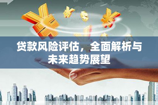 平安贷款风险评估，全面解析与未来趋势展望