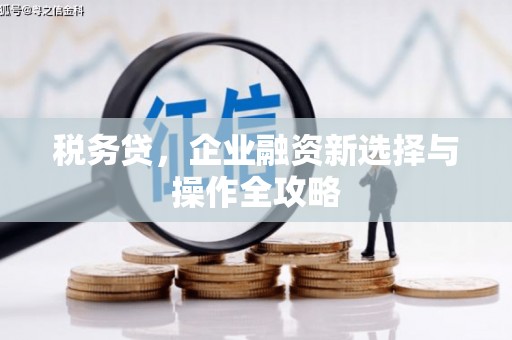 平安税务贷，企业融资新选择与操作全攻略