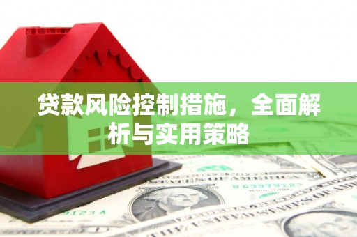 平安贷款风险控制措施，全面解析与实用策略