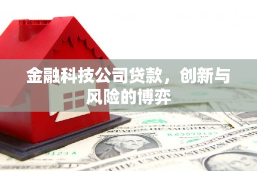 平安金融科技公司贷款，创新与风险的博弈