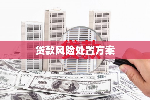 平安贷款风险处置方案