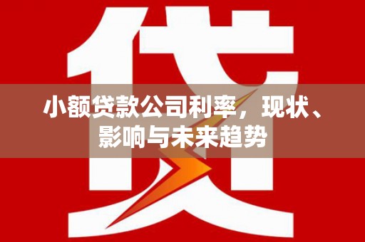 平安小额贷款公司利率，现状、影响与未来趋势