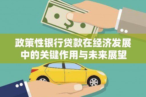 平安政策性银行贷款在经济发展中的关键作用与未来展望
