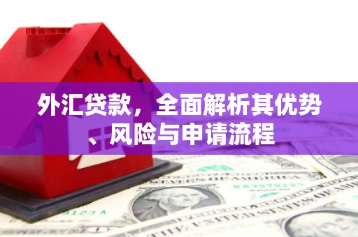 平安外汇贷款，全面解析其优势、风险与申请流程