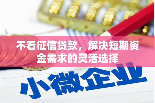 平安不看征信贷款，解决短期资金需求的灵活选择