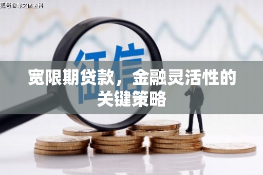 平安宽限期贷款，金融灵活性的关键策略