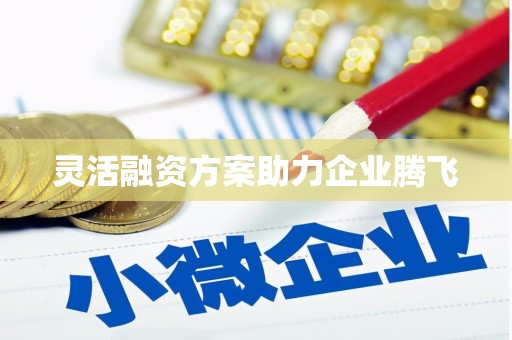 平安灵活融资方案助力企业腾飞
