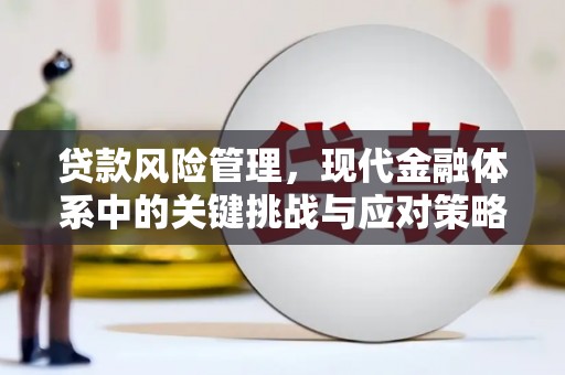 平安贷款风险管理，现代金融体系中的关键挑战与应对策略