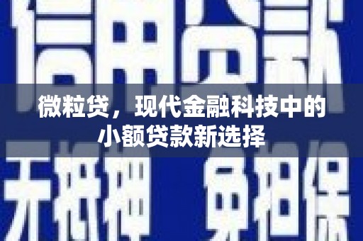 平安微粒贷，现代金融科技中的小额贷款新选择