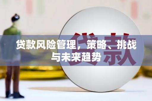 平安贷款风险管理，策略、挑战与未来趋势