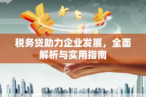 平安税务贷助力企业发展，全面解析与实用指南