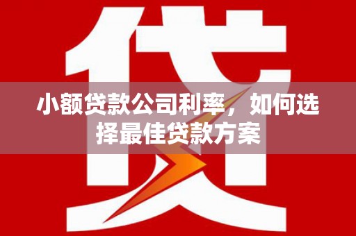 平安小额贷款公司利率，如何选择最佳贷款方案