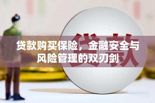 平安贷款购买保险，金融安全与风险管理的双刃剑