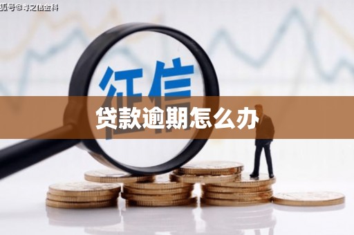 平安贷款逾期怎么办