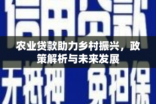 平安农业贷款助力乡村振兴，政策解析与未来发展