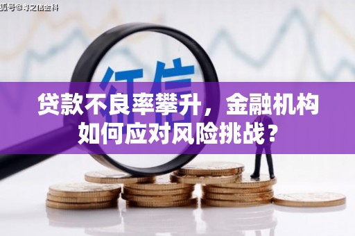 平安贷款不良率攀升，金融机构如何应对风险挑战？