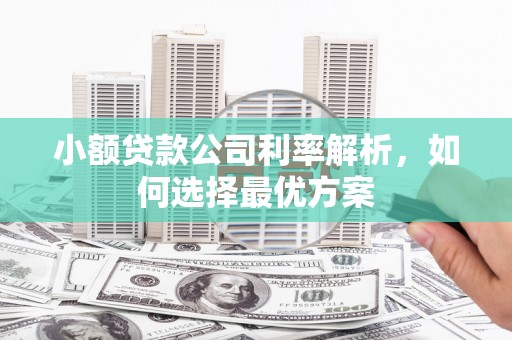 平安小额贷款公司利率解析，如何选择最优方案