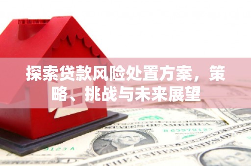 平安探索贷款风险处置方案，策略、挑战与未来展望