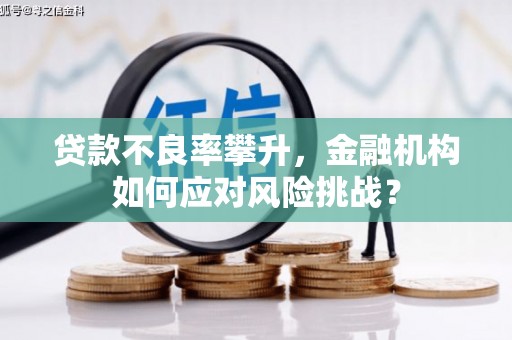 平安贷款不良率攀升，金融机构如何应对风险挑战？