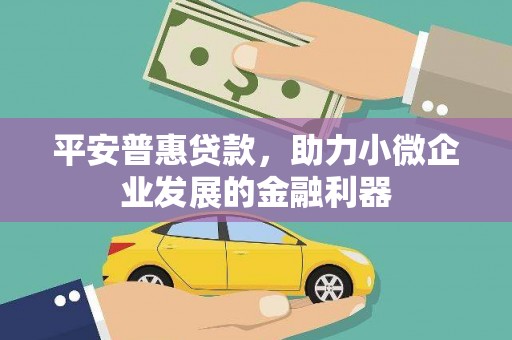 平安普惠贷款，助力小微企业发展的金融利器