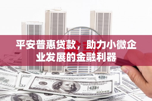 平安普惠贷款，助力小微企业发展的金融利器