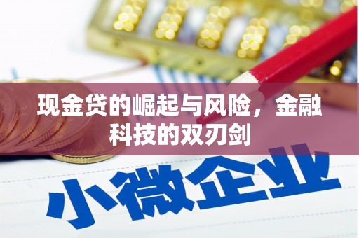 平安现金贷的崛起与风险，金融科技的双刃剑