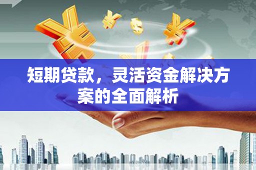 平安短期贷款，灵活资金解决方案的全面解析