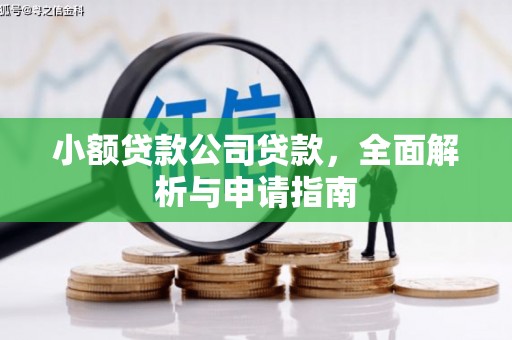 平安小额贷款公司贷款，全面解析与申请指南