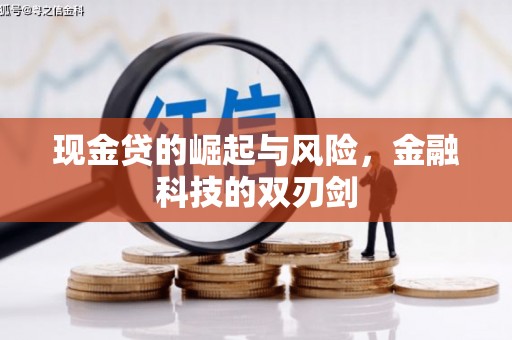 平安现金贷的崛起与风险，金融科技的双刃剑