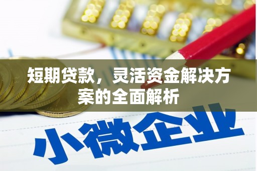 平安短期贷款，灵活资金解决方案的全面解析