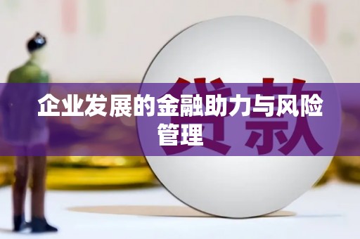平安企业发展的金融助力与风险管理