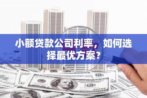 平安小额贷款公司利率，如何选择最优方案？
