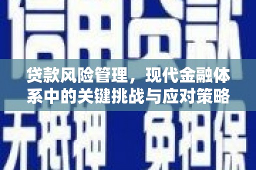 平安贷款风险管理，现代金融体系中的关键挑战与应对策略