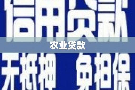 平安农业贷款