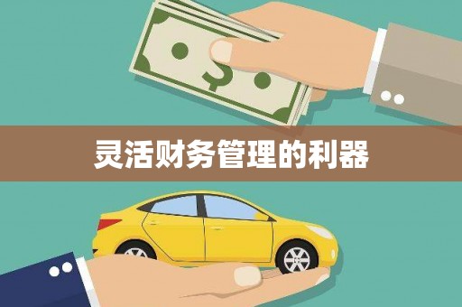 平安灵活财务管理的利器