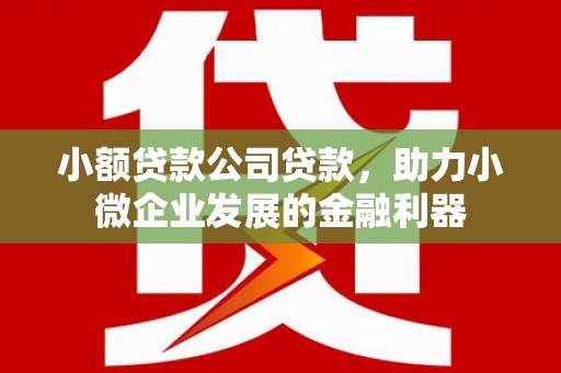 平安小额贷款公司贷款，助力小微企业发展的金融利器