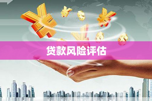 平安贷款风险评估