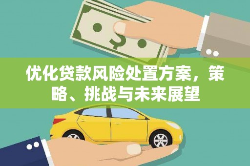 平安优化贷款风险处置方案，策略、挑战与未来展望