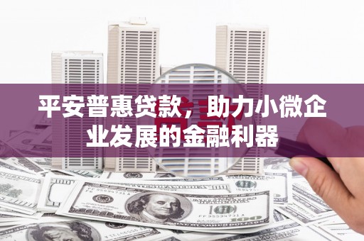 平安普惠贷款，助力小微企业发展的金融利器