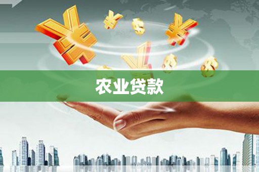 平安农业贷款