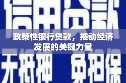 平安政策性银行贷款，推动经济发展的关键力量