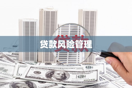 平安贷款风险管理