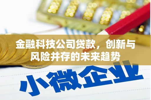 平安金融科技公司贷款，创新与风险并存的未来趋势