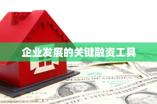 平安企业发展的关键融资工具