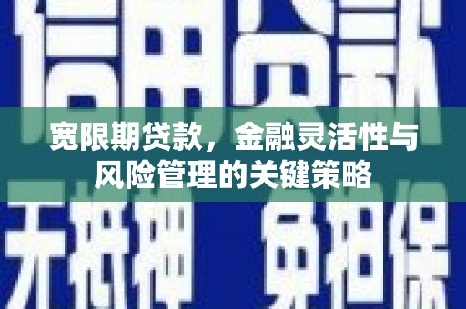 平安宽限期贷款，金融灵活性与风险管理的关键策略