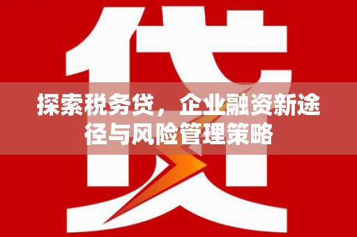 平安探索税务贷，企业融资新途径与风险管理策略