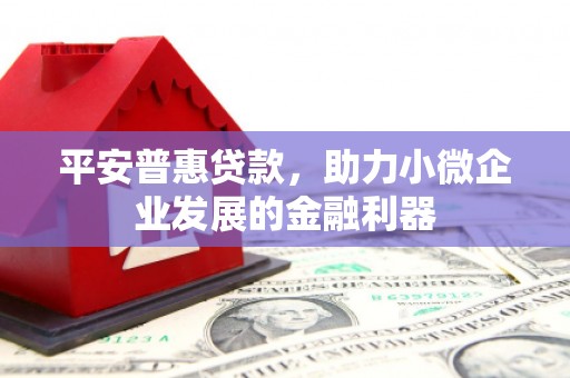 平安普惠贷款，助力小微企业发展的金融利器