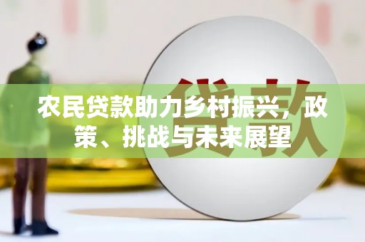 平安农民贷款助力乡村振兴，政策、挑战与未来展望